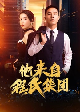 seo网站优化推广整站排名教程